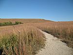 Konza Prairie Trail Fall 1