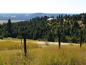 Looking SW From Krell Hill, September 2012