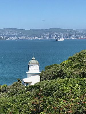 Matiu-SomesLighthouse w Wellington