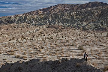 Mecca Hills Wilderness (9469352143).jpg