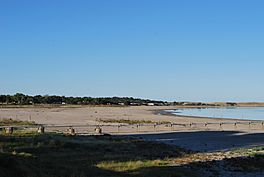 The picture shows Lake Albert from its shore. In the foreground is a sandy shore and a pipeline leading towards the lake. The lake is in the right of the photo. In the background there are trees on the left and brown hills on the right.