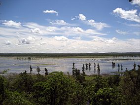 Mingo National Wildlife Refuge.jpg