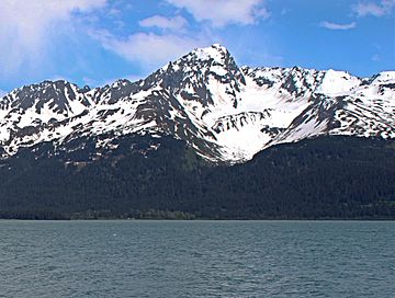 Mt. Alice across Resurrection Bay.jpg