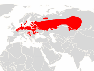 Myotis dasycneme range map.png