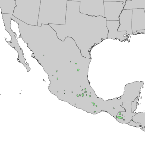 Pinus hartwegii range map 1.png