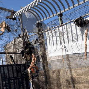 Remnants of clothing, wooden sticks and backpacks stuck to the barbed wire over the doors and on the fence (cropped)