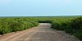 Road through Tamaulipan thornscrub 1, Webb County, Texas, USA (10 June 2016)