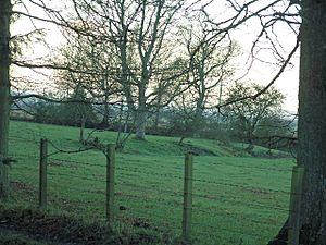 Roman Fortress - geograph.org.uk - 105476