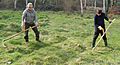 Scything the Anthill Meadow, Gunnersbury Triangle