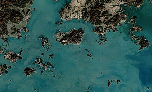 Seaweed Farms in South Korea (detail) (17322757055)