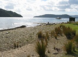 View of Motuara island from Ship Cove in 2004