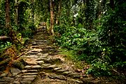 Stone Stairway to Ciudad Perdida