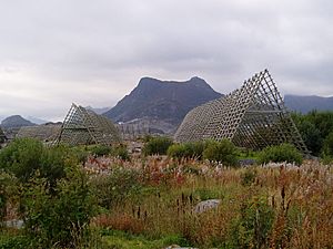 Svolvær fish drying