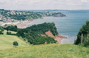 TeignmSWCP