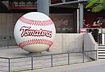 Tomateros Ball2019.jpg