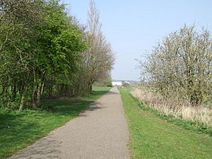 Trans Pennine Trail at Spike Island