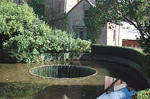 Tumbling weir Devon 2