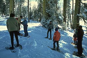 Yosemite Winter Hiking