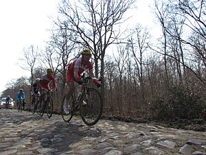 2013 Paris - Roubaix, Forest of Arenberg