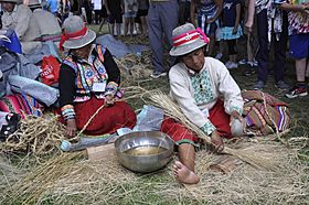 2015 Smithsonian folklife festival DC -Qeswachaka Bridge rope making - 01