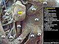 Anterior region of neck1