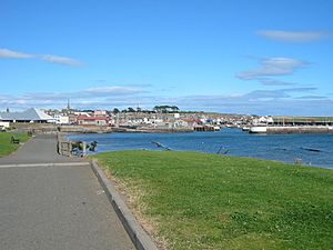 Arbroath from Inchape Park.JPG