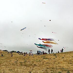 Berkeley Kite Festival