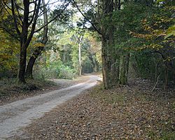 Blakley road2 web.jpg