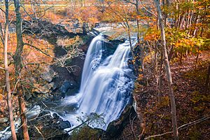 Brandywine Falls (29999191633)