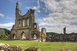 BylandAbbey-7Je11-24105.jpg