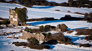 Carthy's Castle