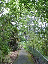 Chelsea Refinery footpath