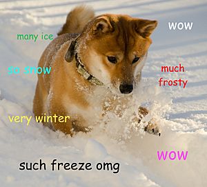 Doge meme example