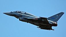 Eurofighter 9803 5