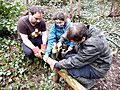 Fixing a wooden railing Gunnersbury Triangle