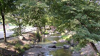 The Luye at Gap, near to the Parc de la Pépinière