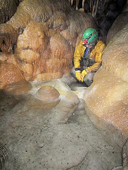 Geograph 2349812 W L Cave.jpg