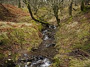 Great Mell Fell - Routing Gill Beck