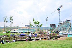 Joko Widodo planting tree in Sumbu Kebangsaan, December 2023