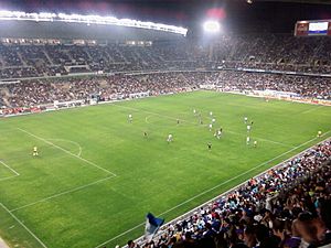 La Rosaleda 2