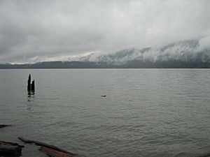 Lake Quinault