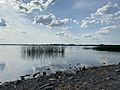 Lough Ennell, 2021-07-21, 01