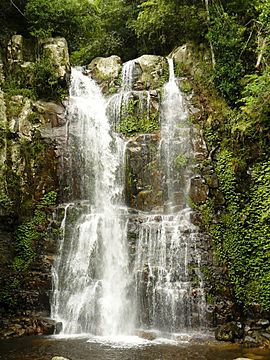 Minnamurra Falls 2012.jpg