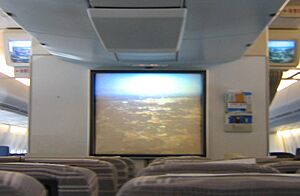 Onboard JAL in-flight nose camera