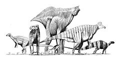 Ornithopods jconway