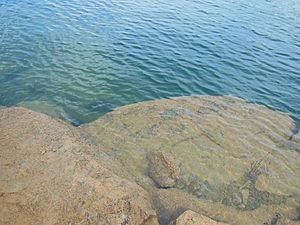 Picture of shore - Smith Lake