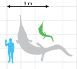 Prionosuchus scale