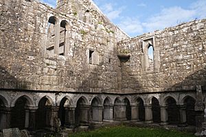 Ross Friary Cloister Garden NW Corner 2010 09 14