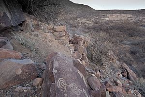 San Pedro Riparian NCA