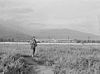 Temporary detention camp for Japanese Americans Santa Anita assembly center